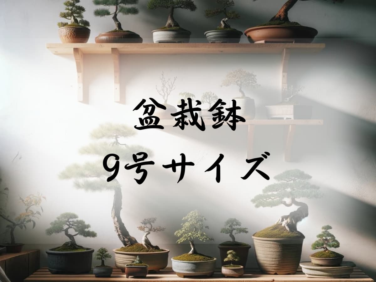 9号サイズの盆栽鉢を探す | 盆栽塾