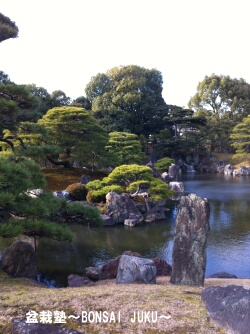 京都二条城の二の丸庭園の池