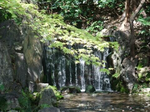 小石川後楽園の白糸の滝