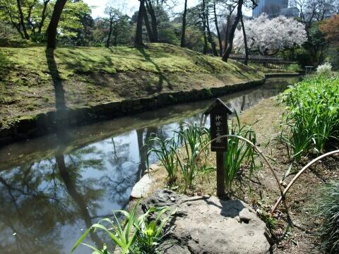 小石川後楽園の神田上水跡